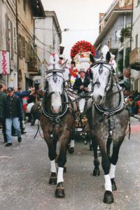 carnevale_2001004_511x768.jpg