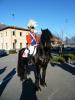 Piazza San Germano: Roby in sella ad un bel frisone.